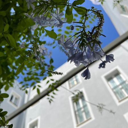 Hotel San Miguel Menorca Mahón Екстериор снимка