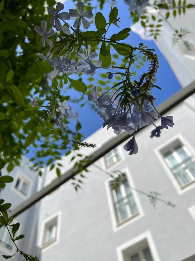 Hotel San Miguel Menorca Mahón Екстериор снимка